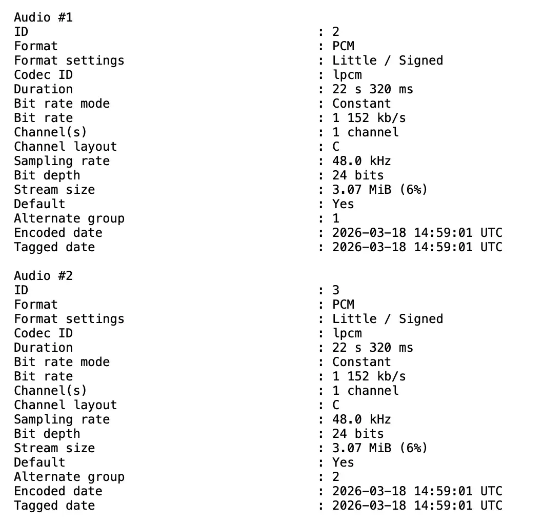 MediaInfo – 2 tracks, 1 channel each
