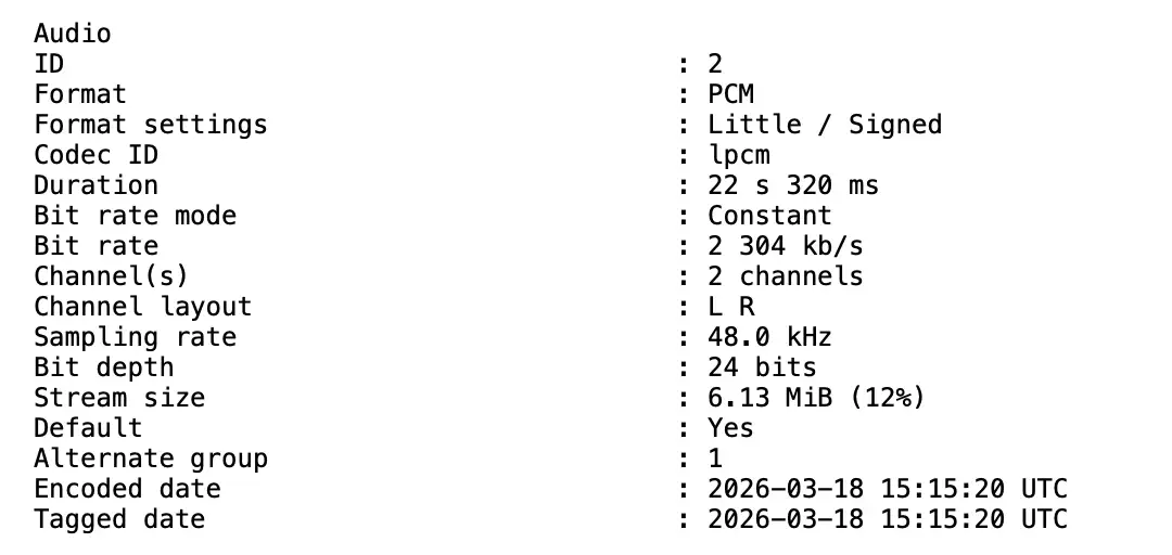 MediaInfo – 1 track, 2 channels